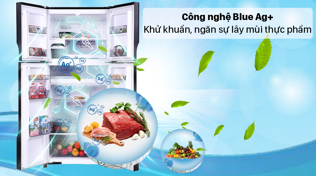Tủ lạnh Panasonic 550L NR-DZ601VGKV